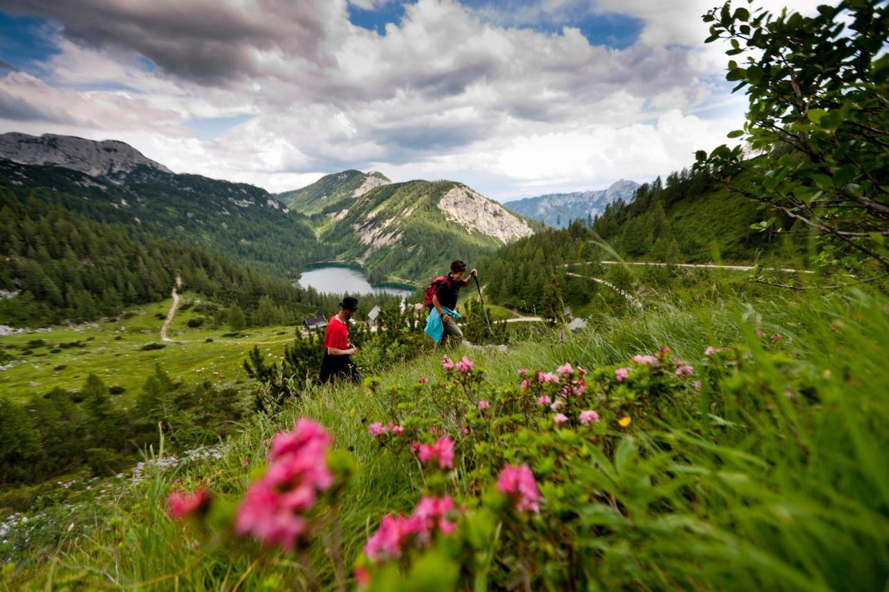 Der Seebacherhof Tauplitz